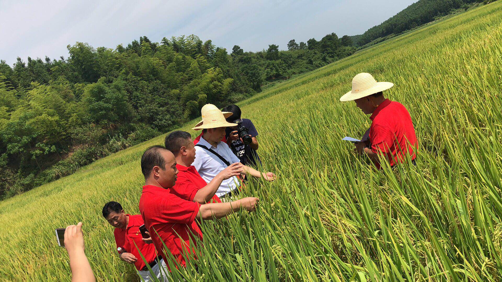 郴州市金土地化肥有限公司,湖南配方肥定點加工,林木肥銷售,有機肥質(zhì)量